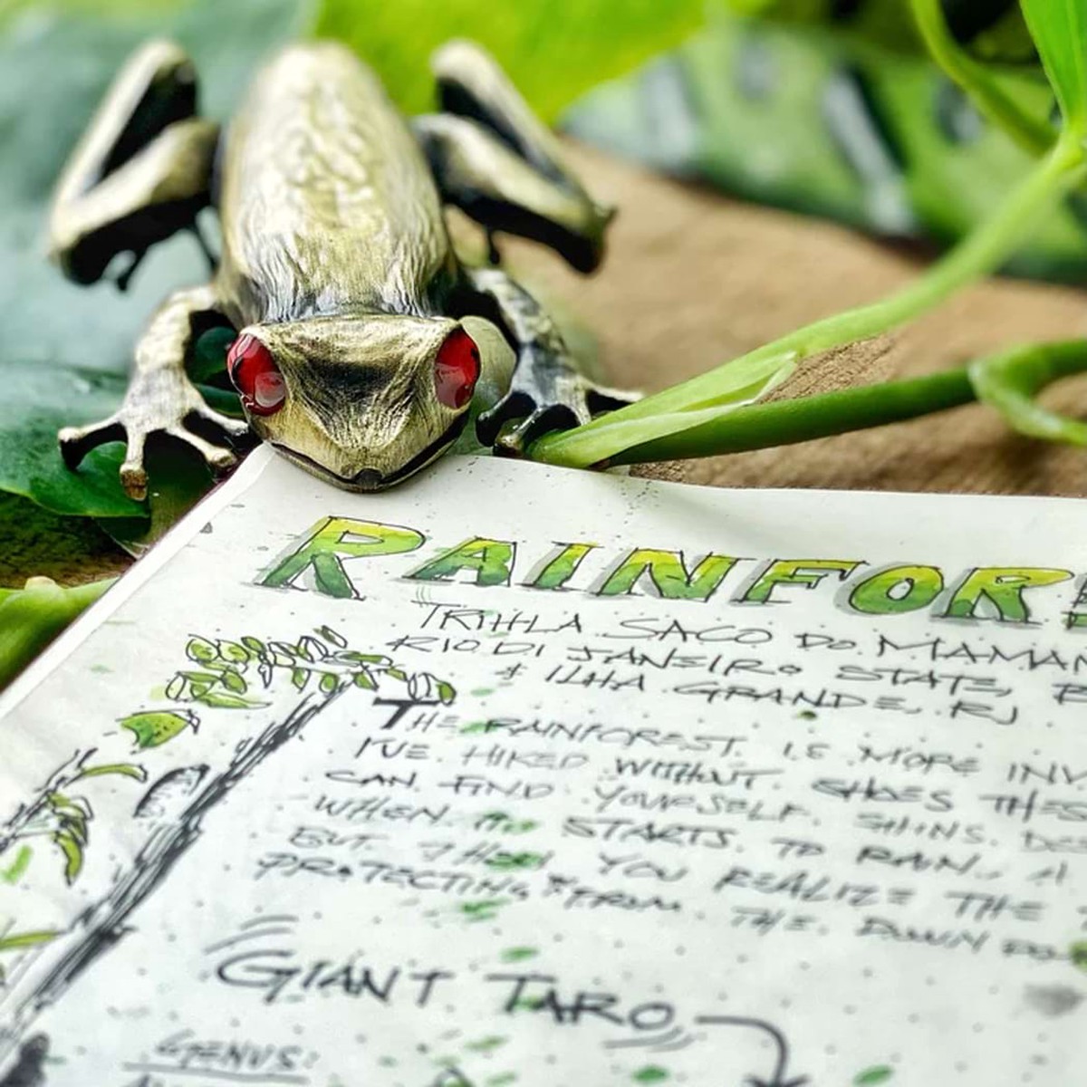 Esterbrook Page Clip – Tree Frog