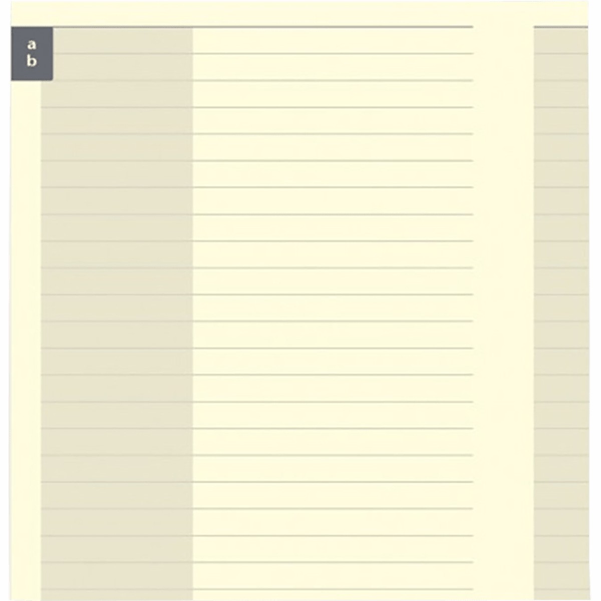 Filofax Flex A5 Contacts