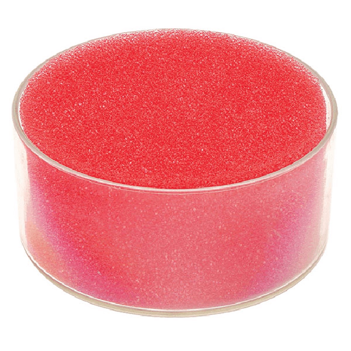 Marbig Sponge And Plastic Bowl