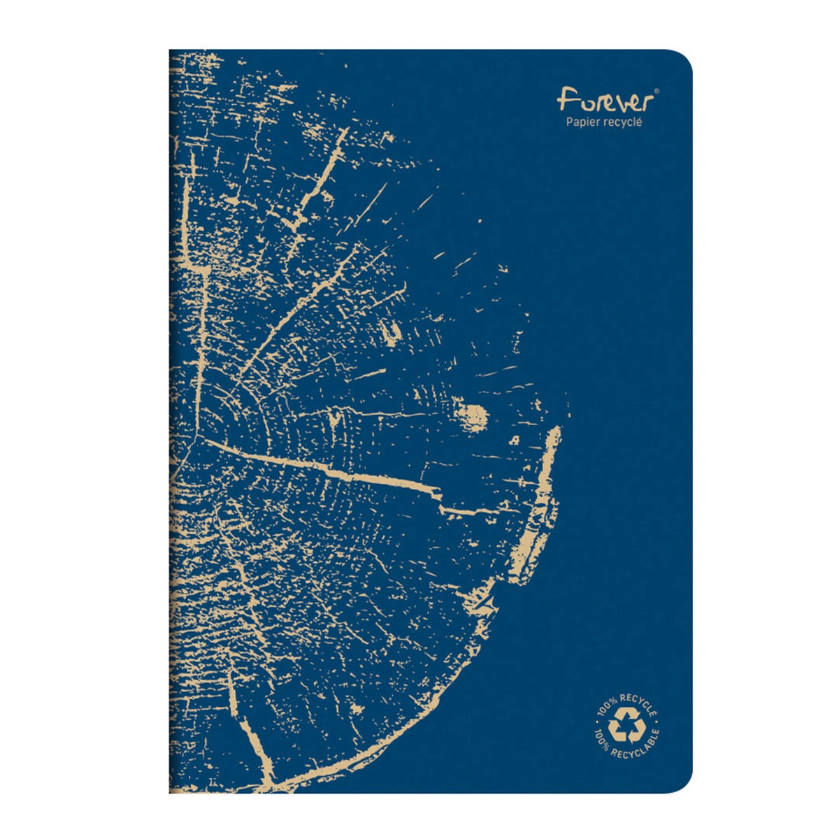Clairefontaine FOREVER Stapled Notebook A4