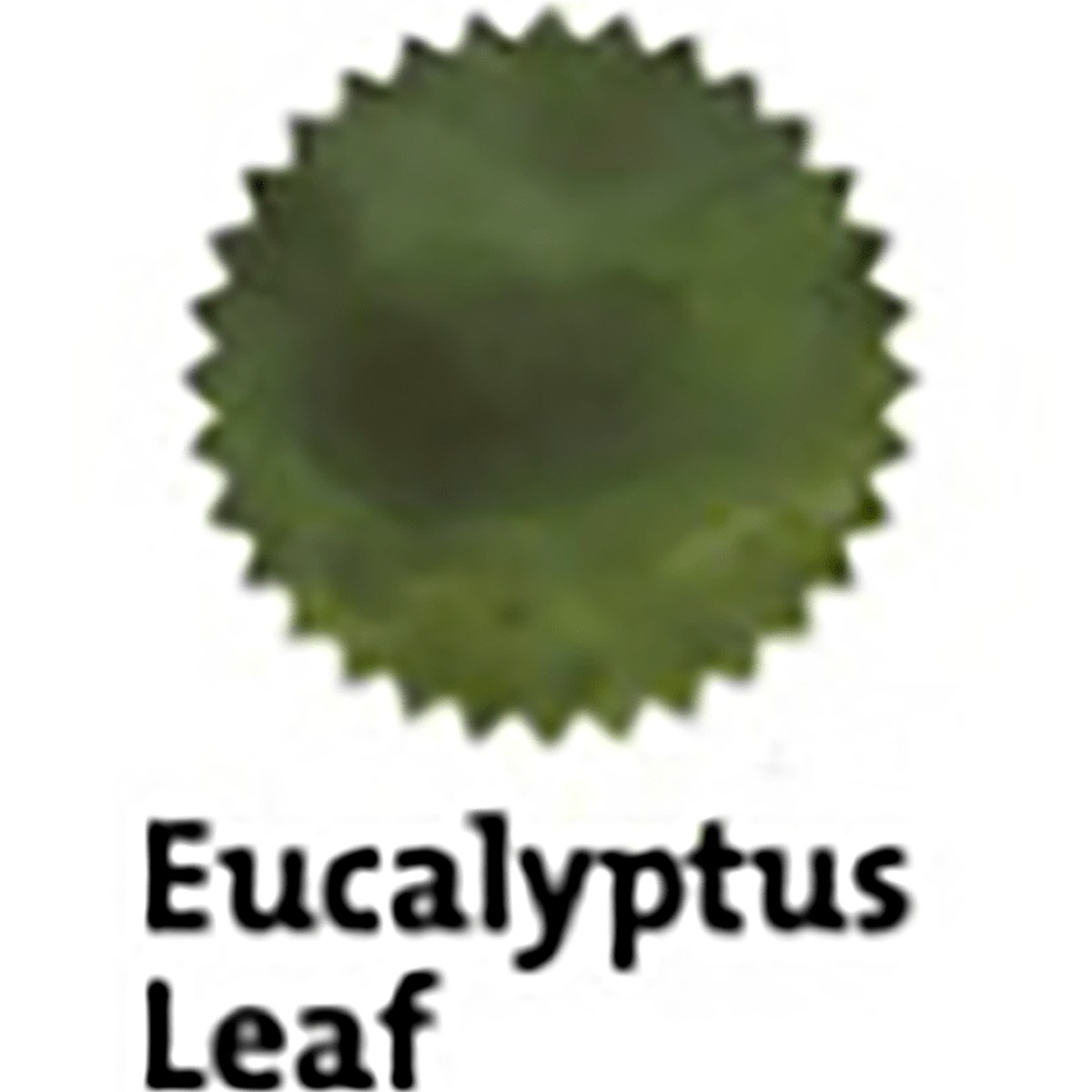Robert Oster Signature Ink Bottle – Eucalyptus Leaf – 50ml